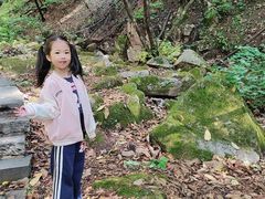 -三块石国家森林公园