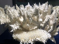 -游龙石文化科普馆