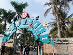-欢乐海岸椰林沙滩-2025湾区超级灯会