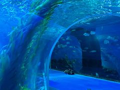 -波塞冬旅游度假区