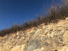 -富平县金粟山森林公园