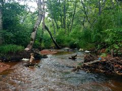 -五营红松林海景区