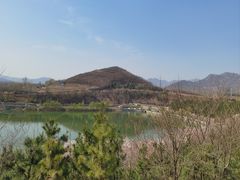 -樱花山风景区