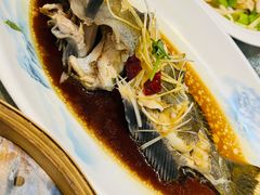 -韩记海鲜饺子旗舰店(红海新区店)