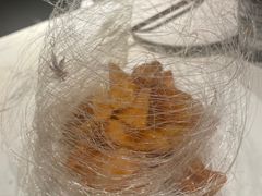 -奉天小馆·非遗东北菜(济南万象城店)