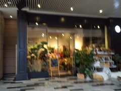 -植物学家的女儿(北马道巷店)