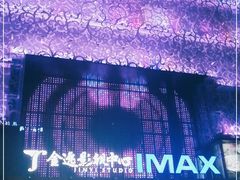 -金逸影城(影视中心IMAX店)