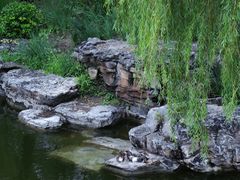 -迎泽公园