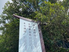 -长沙黑麋峰国家森林公园