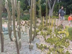 -墨尔本皇家植物园