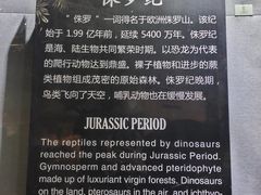 -烟台自然博物馆