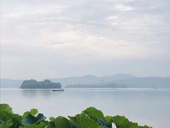 -西湖游船
