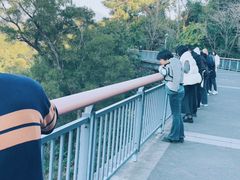 -金鸡山公园