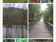 环境-西湖风景区-江洋畈生态公园