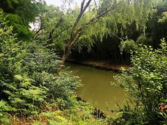 -同里国家湿地公园