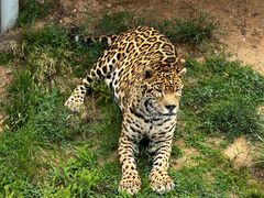 -西霞口神雕山野生动物世界