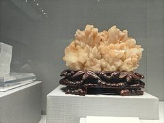 -湖南省地质博物馆