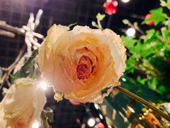 -BOBLOOM花店(宝龙旭辉广场店)