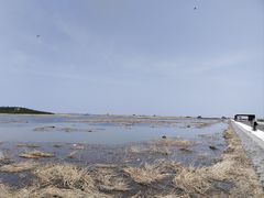 -南大港湿地风景区