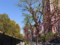 -永乐路-路侧停车场