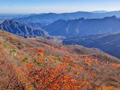 -香山公园