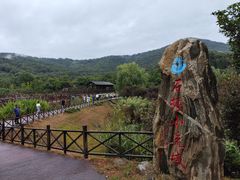 -石塘人家