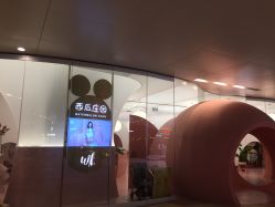 -西瓜庄园儿童摄影