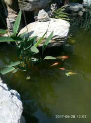 点击看大图 -皇家爱婴高端儿童摄影(苹果园店)