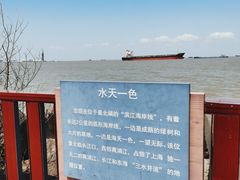 -上海滨江森林公园