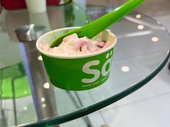-Salud撒露欧洲冻酸奶(蓝色港湾店)