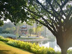 -四海公园(南山区)