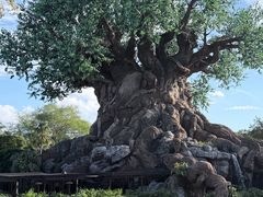 -奥兰多迪士尼动物王国乐园