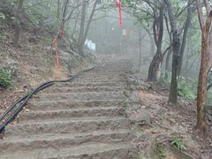 -灵顺寺