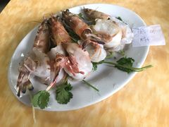-金砂阿洲鱼册店