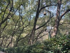 -宁波市保国寺古建筑博物馆