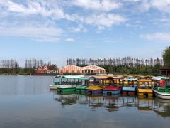 -上海长兴岛郊野公园