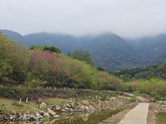 -福清灵石山国家森林公园