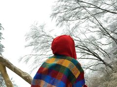 -洛阳白云山景区