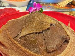 -二荆条·蜀鲜汇城市森林火锅