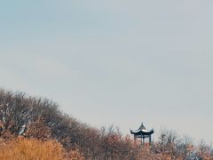 -北山公园