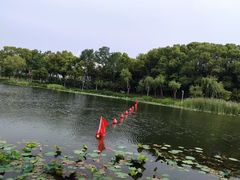 -新江湾城公园