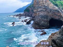-杨梅坑