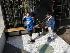 -徐家汇源景区-衡山坊