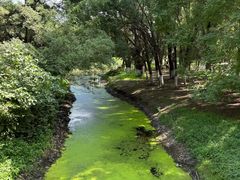 -长白岛森林公园