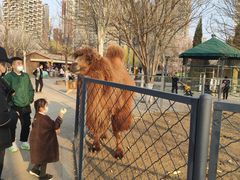 -长白岛森林公园
