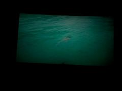 -万达影城(潍坊万达广场IMAX店)