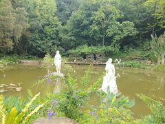 -深圳仙湖植物园-停车场