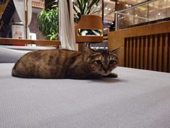 -西双版纳融创皇冠假日度假酒店