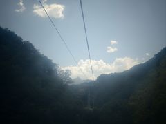 -栾川竹海野生动物园