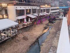 -Local泰莲庭(虹鳟鱼店)